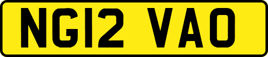 NG12VAO
