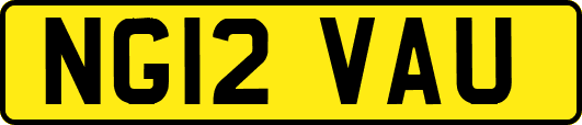 NG12VAU