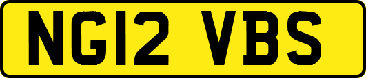 NG12VBS