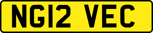 NG12VEC