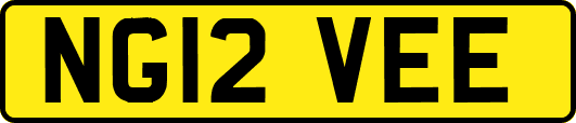 NG12VEE