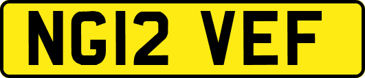 NG12VEF