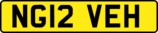 NG12VEH