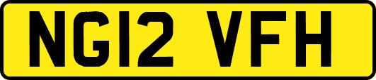 NG12VFH