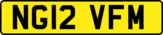 NG12VFM