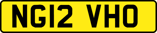 NG12VHO