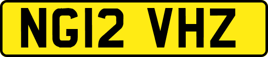 NG12VHZ