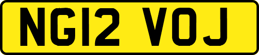 NG12VOJ