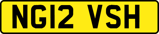 NG12VSH