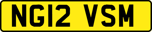 NG12VSM