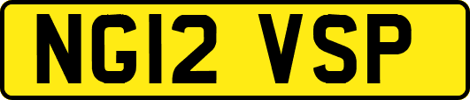NG12VSP