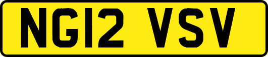 NG12VSV