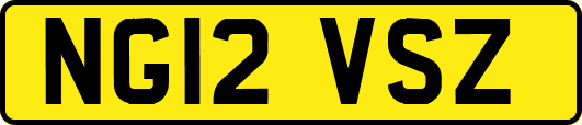 NG12VSZ