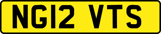 NG12VTS