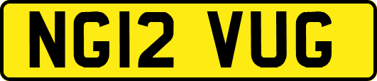 NG12VUG