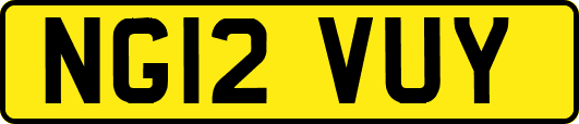 NG12VUY