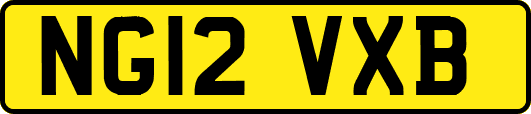 NG12VXB
