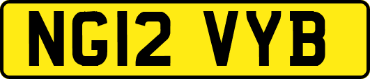 NG12VYB