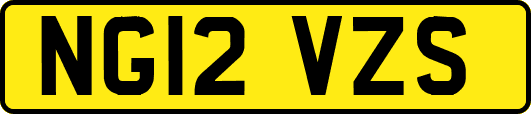 NG12VZS