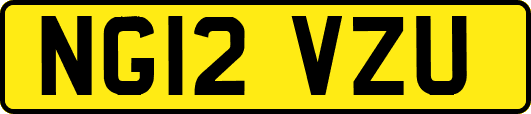 NG12VZU