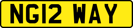 NG12WAY