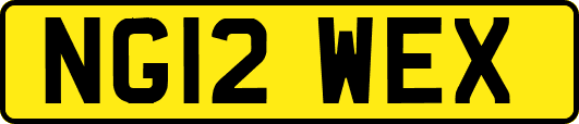 NG12WEX