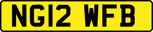 NG12WFB