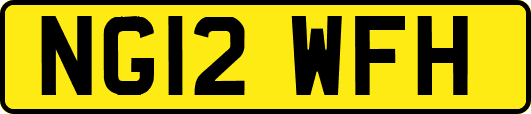 NG12WFH