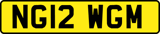 NG12WGM