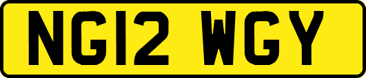 NG12WGY