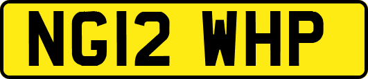 NG12WHP