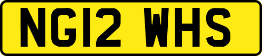NG12WHS