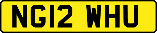NG12WHU