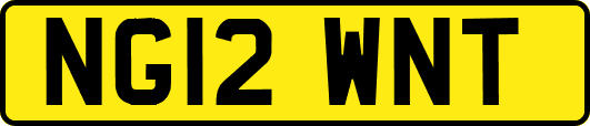 NG12WNT