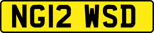 NG12WSD