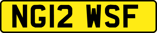 NG12WSF