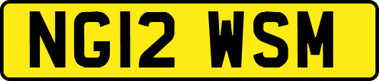 NG12WSM