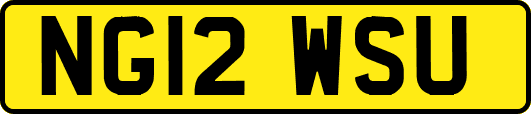 NG12WSU