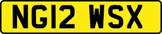 NG12WSX