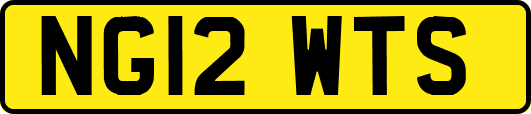 NG12WTS