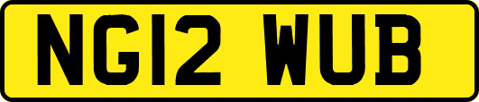 NG12WUB