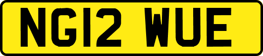 NG12WUE