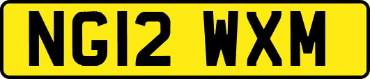 NG12WXM