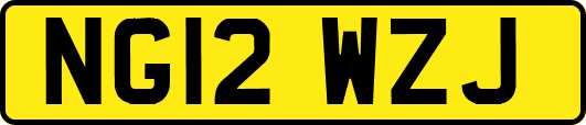 NG12WZJ