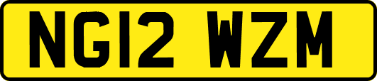 NG12WZM