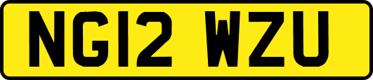 NG12WZU
