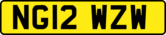 NG12WZW
