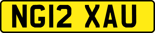 NG12XAU