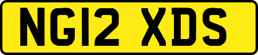 NG12XDS