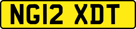 NG12XDT
